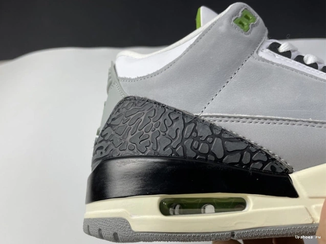 136064-006 Air Jordan Retro 3 Chlorophyll 0809